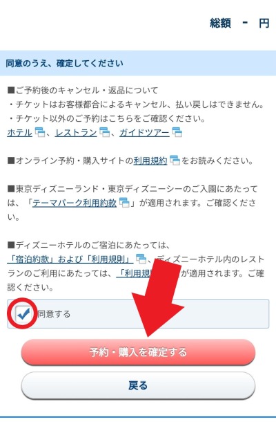 最終確認で問題なければ、注意事項を読み、同意する・予約を確定する